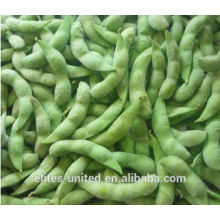 Organic IQF Frozen Soybean Supplier